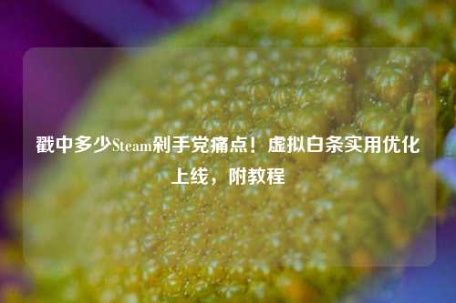 戳中多少Steam剁手党痛点!虚拟白条实用优化上线,附教程