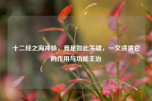 十二经之海冲脉,竟是如此关键,一文讲清它的作用与功能主治