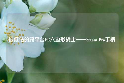 被低估的跨平台PC六边形战士——Steam Pro手柄