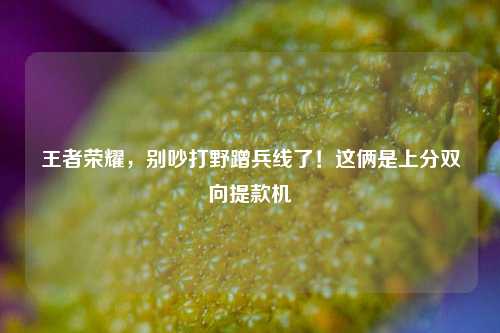 王者荣耀,别吵打野蹭兵线了!这俩是上分双向提款机