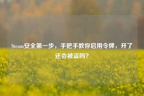 Steam安全之一步,手把手教你启用令牌,开了还会被盗吗?