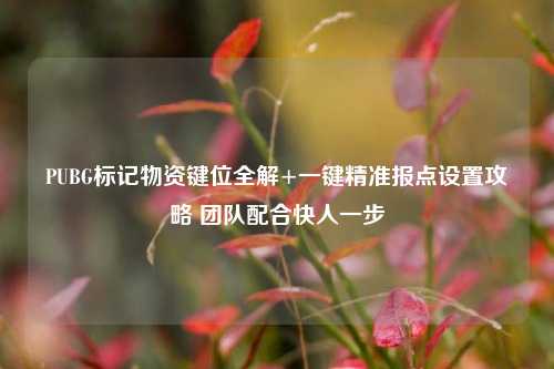PUBG标记物资键位全解+一键精准报点设置攻略 团队配合快人一步