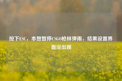 按下ESC,本想暂停CSGO枪林弹雨,结果设置界面没出现