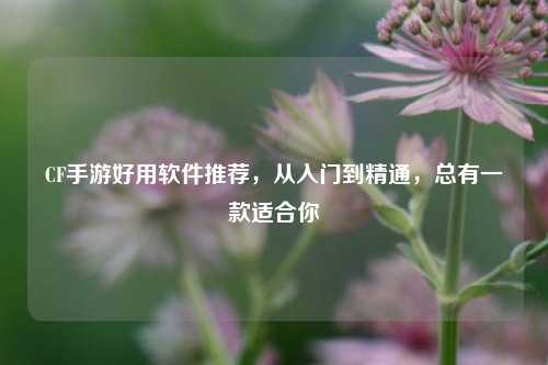 CF手游好用软件推荐,从入门到精通,总有一款适合你