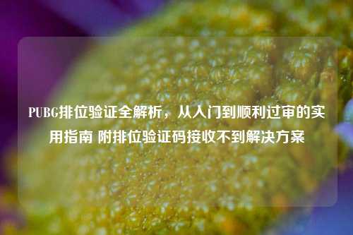PUBG排位验证全解析,从入门到顺利过审的实用指南 附排位验证码接收不到解决方案