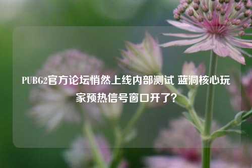 PUBG2官方论坛悄然上线内部测试 蓝洞核心玩家预热信号窗口开了?