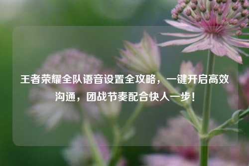 王者荣耀全队语音设置全攻略,一键开启高效沟通,团战节奏配合快人一步!