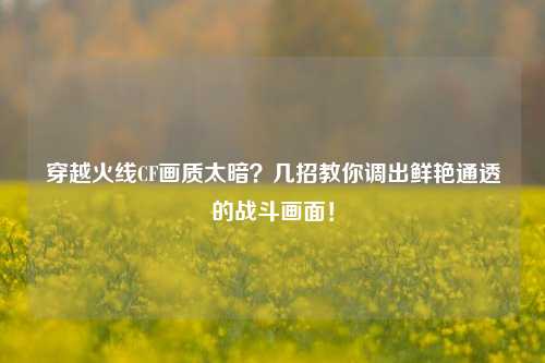 穿越火线CF画质太暗?几招教你调出鲜艳通透的战斗画面!
