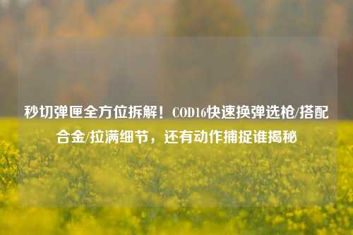 秒切弹匣全方位拆解!COD16快速换弹选枪/搭配合金/拉满细节,还有动作捕捉谁揭秘