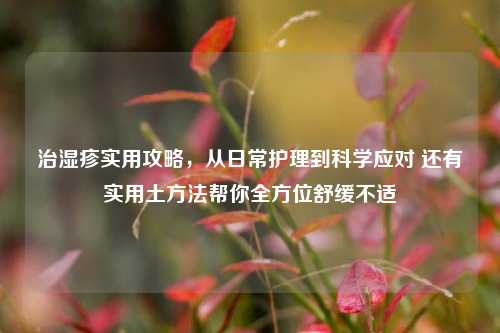 治湿疹实用攻略,从日常护理到科学应对 还有实用土 *** 帮你全方位舒缓不适