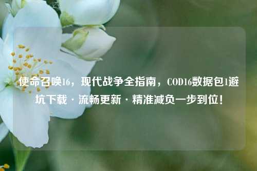 使命召唤16,现代战争全指南,COD16数据包1避坑下载·流畅更新·精准减负一步到位!