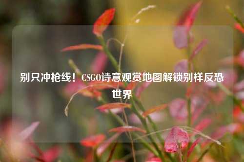 别只冲枪线!CSGO诗意观赏地图解锁别样反恐世界