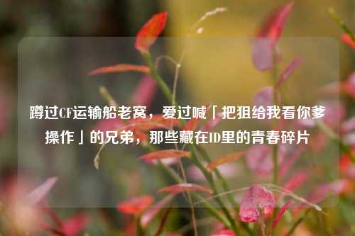 蹲过CF运输船老窝,爱过喊「把狙给我看你爹操作」的兄弟,那些藏在ID里的青春碎片