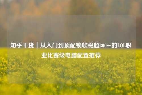 知乎干货|从入门到顶配锁帧稳超300+的LOL职业比赛级电脑配置推荐