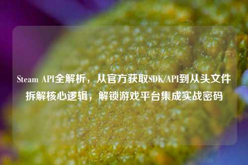 Steam API全解析,从官方获取SDK/API到从头文件拆解核心逻辑,解锁游戏平台集成实战密码