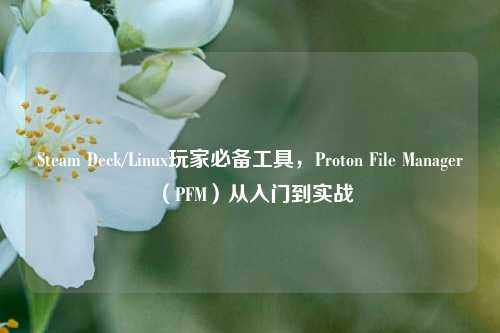 Steam Deck/Linux玩家必备工具,Proton File Manager(PFM)从入门到实战