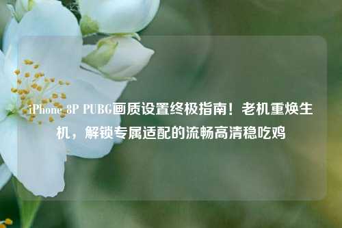 iPhone 8P PUBG画质设置终极指南!老机重焕生机,解锁专属适配的流畅高清稳吃鸡
