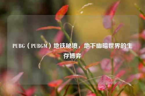 PUBG(PUBGM)地铁秘境,地下幽暗世界的生存博弈