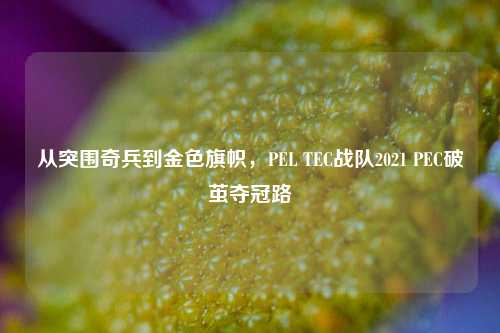 从突围奇兵到金色旗帜,PEL TEC战队2021 PEC破茧夺冠路