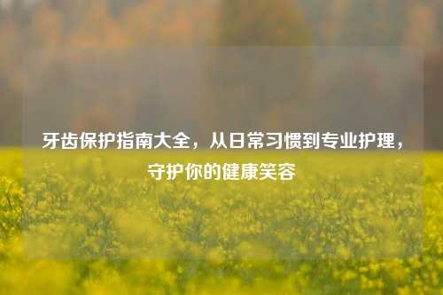 牙齿保护指南大全,从日常习惯到专业护理,守护你的健康笑容