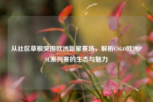 从社区草根突围欧洲新星赛场,解析CSGO欧洲PSL系列赛的生态与魅力