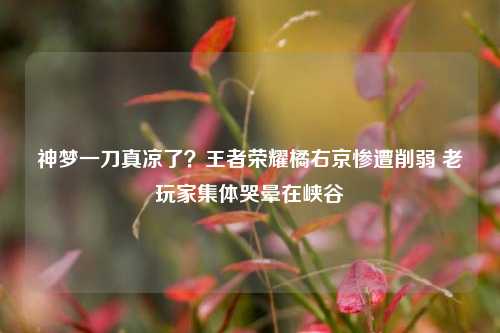 神梦一刀真凉了?王者荣耀橘右京惨遭削弱 老玩家集体哭晕在峡谷