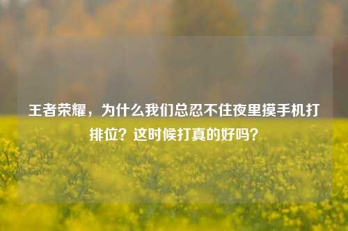 王者荣耀,为什么我们总忍不住夜里摸手机打排位?这时候打真的好吗?