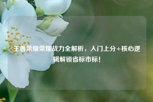 王者荣耀荣耀战力全解析,入门上分+核心逻辑解锁省标市标!