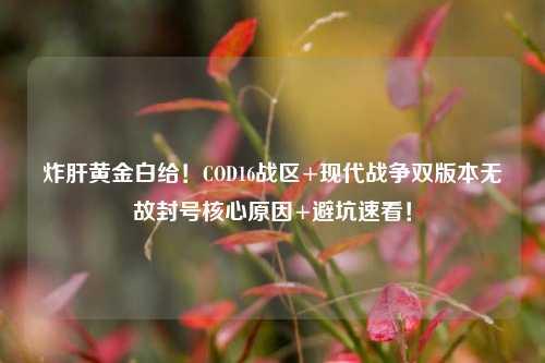 炸肝黄金白给!COD16战区+现代战争双版本无故封号核心原因+避坑速看!