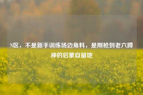 N区,不是新手训练场边角料,是刚枪到老六蹲神的启蒙自留地