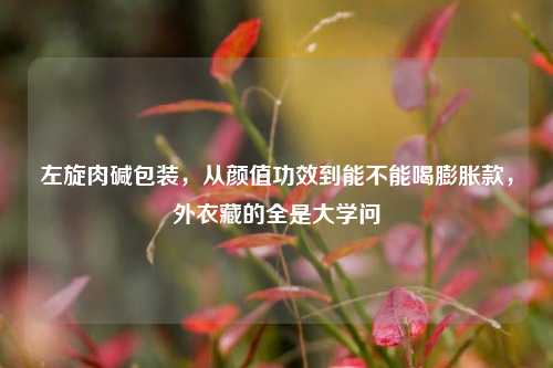左旋肉碱包装,从颜值功效到能不能喝膨胀款,外衣藏的全是大学问