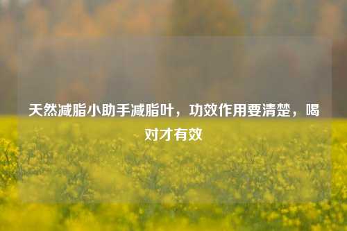 天然减脂小助手减脂叶,功效作用要清楚,喝对才有效