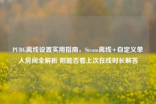 PUBG离线设置实用指南,Steam离线+自定义单人房间全解析 附能否看上次在线时长解答