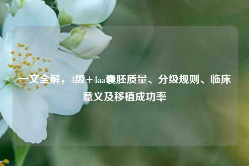 一文全解,4级+4aa囊胚质量、分级规则、临床意义及移植成功率