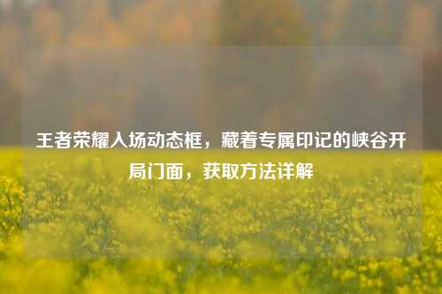 王者荣耀入场动态框,藏着专属印记的峡谷开局门面,获取 *** 详解