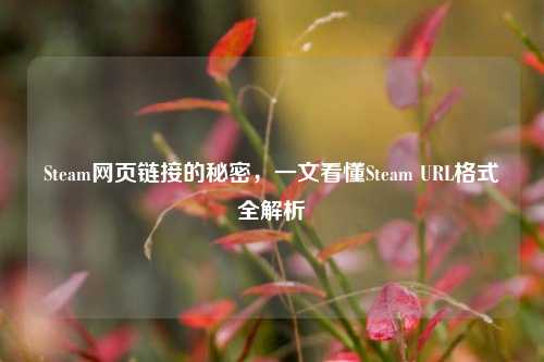 Steam网页链接的秘密,一文看懂Steam URL格式全解析