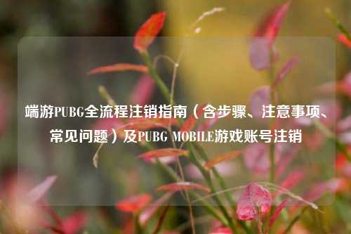 端游PUBG全流程注销指南(含步骤、注意事项、常见问题)及PUBG MOBILE游戏账号注销