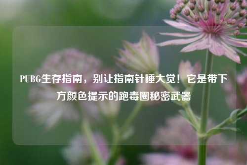 PUBG生存指南,别让指南针睡大觉!它是带下方颜色提示的跑毒圈秘密武器