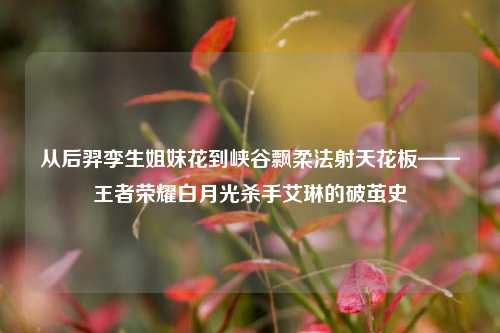 从后羿孪生姐妹花到峡谷飘柔法射天花板——王者荣耀白月光杀手艾琳的破茧史