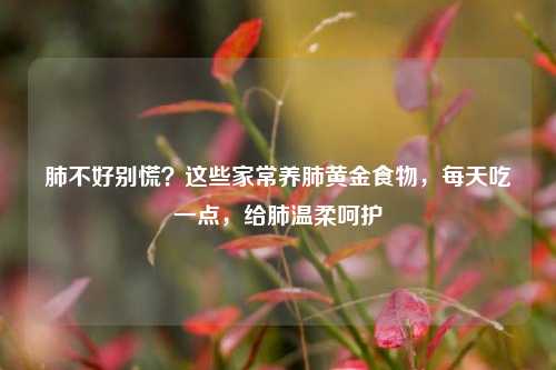肺不好别慌?这些家常养肺黄金食物,每天吃一点,给肺温柔呵护