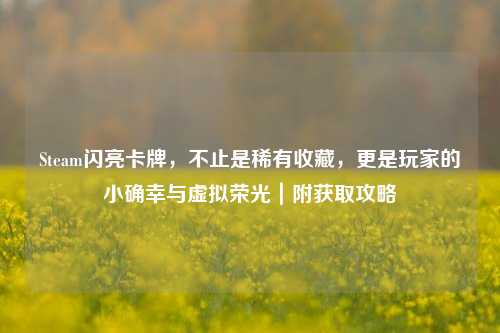 Steam闪亮卡牌,不止是稀有收藏,更是玩家的小确幸与虚拟荣光|附获取攻略