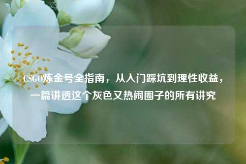 CSGO炼金号全指南,从入门踩坑到理性收益,一篇讲透这个灰色又热闹圈子的所有讲究