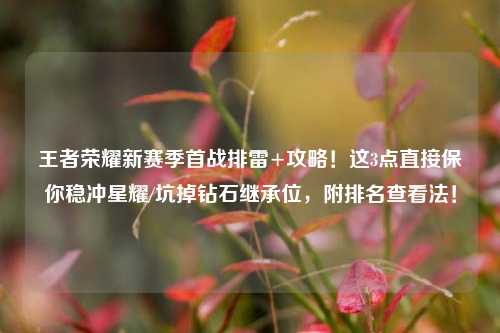 王者荣耀新赛季首战排雷+攻略!这3点直接保你稳冲星耀/坑掉钻石继承位,附排名查看法!