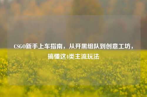 CSGO新手上车指南,从开黑组队到创意工坊,搞懂这4类主流玩法