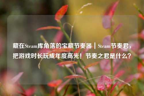 藏在Steam库角落的宝藏节奏器|Steam节奏君,把游戏时长玩成年度高光!节奏之君是什么?