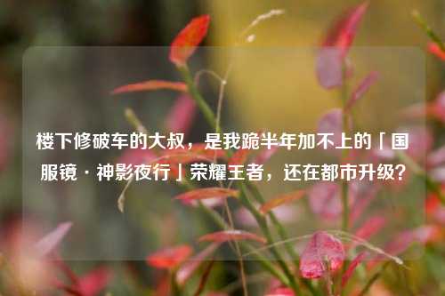 楼下修破车的大叔,是我跪半年加不上的「国服镜·神影夜行」荣耀王者,还在都市升级?