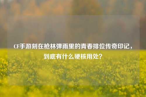 CF手游刻在枪林弹雨里的青春排位传奇印记,到底有什么硬核用处?