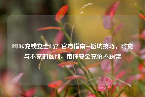 PUBG充钱安全吗?官方指南+避坑技巧,附充与不充的区别,带你安全充值不踩雷