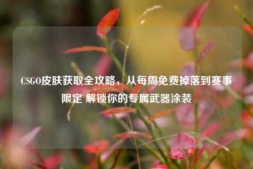 CSGO皮肤获取全攻略,从每周免费掉落到赛事限定 解锁你的专属武器涂装