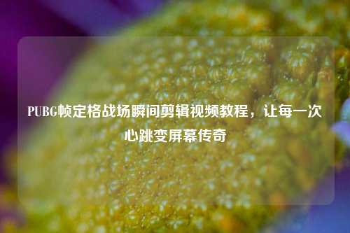 PUBG帧定格战场瞬间剪辑视频教程,让每一次心跳变屏幕传奇